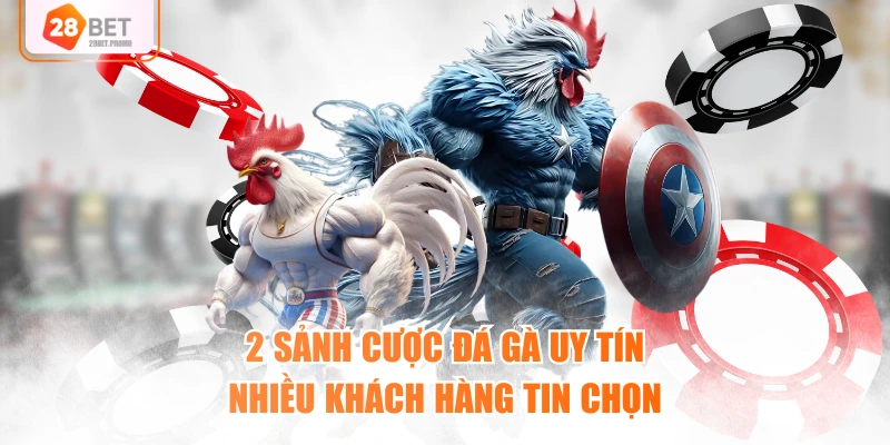 2 sảnh cược đá gà uy tín nhiều khách hàng tin chọn