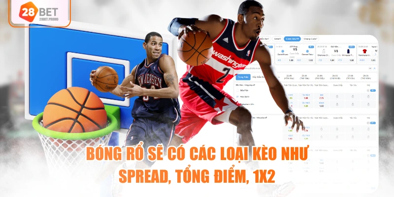 Bóng rổ sẽ có các loại kèo như Spread, Tổng điểm, 1x2