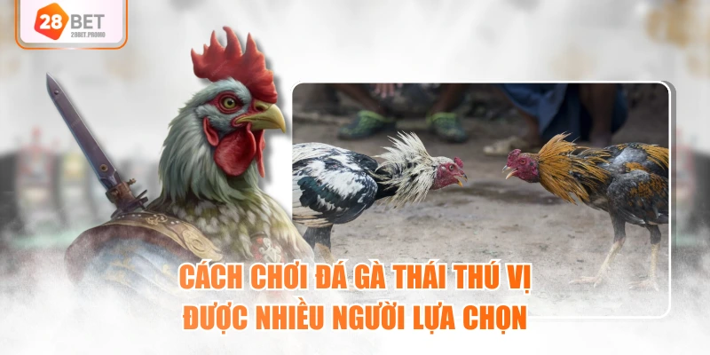 Cách chơi đá gà Thái thú vị được nhiều người lựa chọn